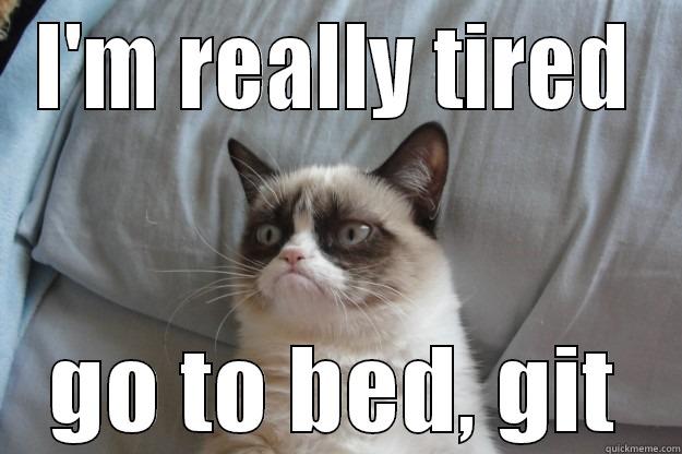I'M REALLY TIRED GO TO BED, GIT Grumpy Cat