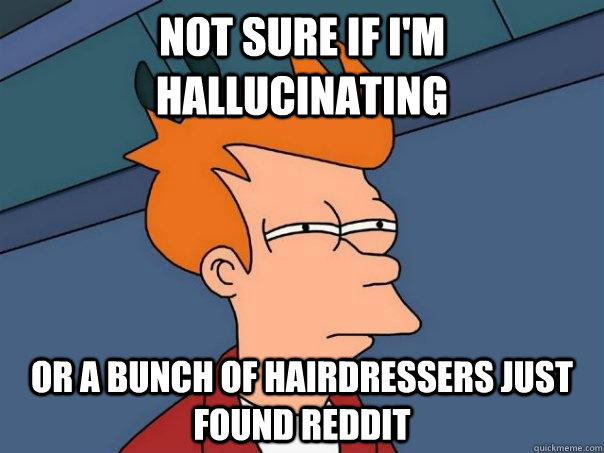 Not sure if I'm hallucinating or a bunch of hairdressers just found reddit  Futurama Fry