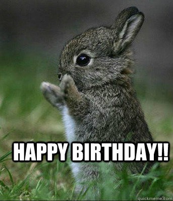 HAPPY BIRTHDAY!!   - HAPPY BIRTHDAY!!    Cute bunny