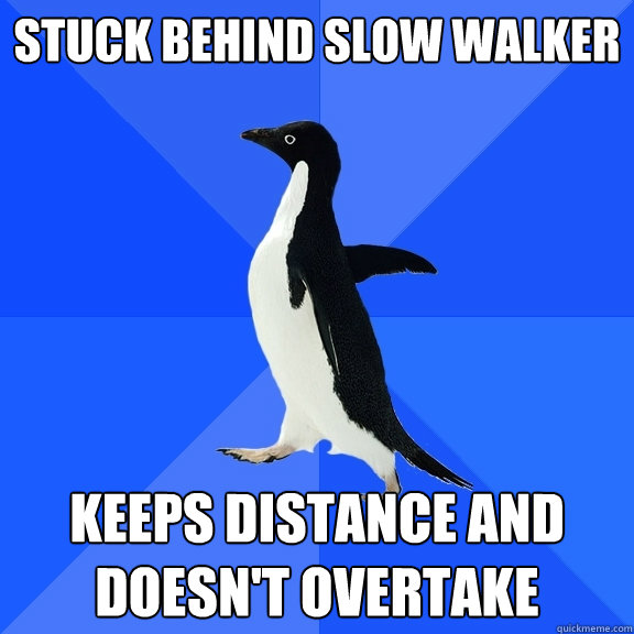 Stuck behind slow walker keeps distance and doesn't overtake  Socially Awkward Penguin