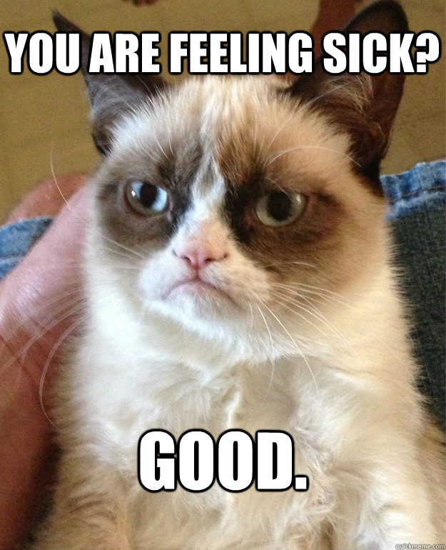 You are feeling sick? Good. - You are feeling sick? Good.  Grumpy Cat