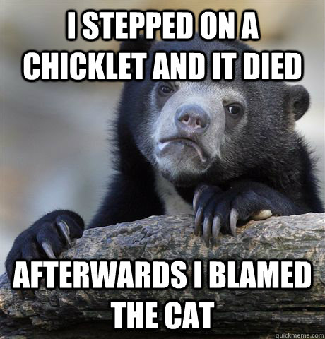 I STEPPED ON A CHICKLET AND IT DIED AFTERWARDS I BLAMED THE CAT  Confession Bear