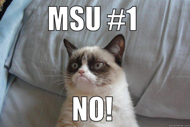 MSU #1 NO! Grumpy Cat