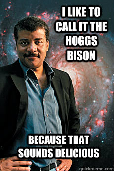 I like to call it the hoggs bison because that sounds delicious  Neil deGrasse Tyson