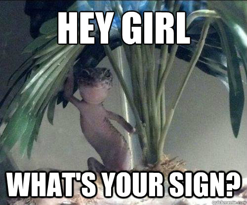 Hey girl what's your sign? - Hey girl what's your sign?  sleazy lizard