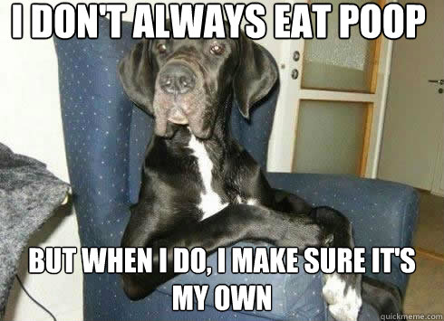 I don't always eat poop but when i do, i make sure it's my own  The Most Interesting Dog in the World