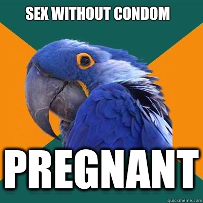 Sex without condom Pregnant  Paranoid Parrot