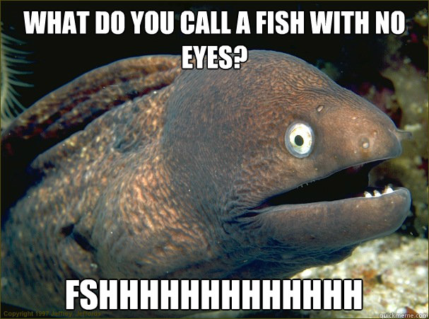 What do you call a fish with no eyes? FSHHHHHHHHHHHHH  Bad Joke Eel