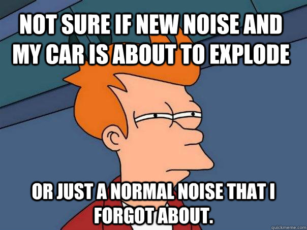 Not sure if new noise and my car is about to explode  or just a normal noise that i forgot about.  Futurama Fry