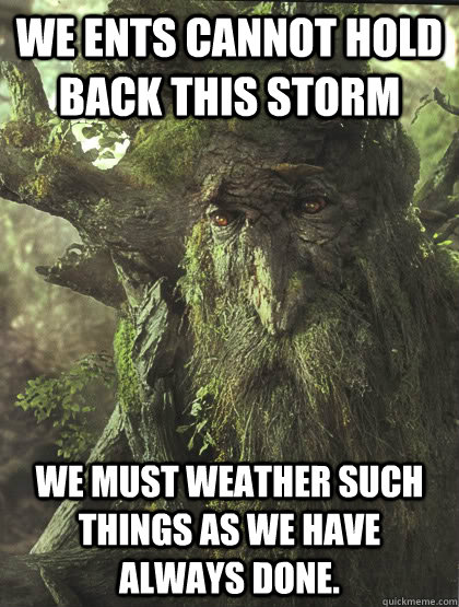 We Ents cannot hold back this storm We must weather such things as we have always done. - We Ents cannot hold back this storm We must weather such things as we have always done.  treebeard