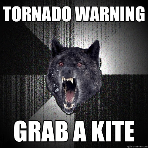 TORNADO WARNING GRAB A KITE  Insanity Wolf