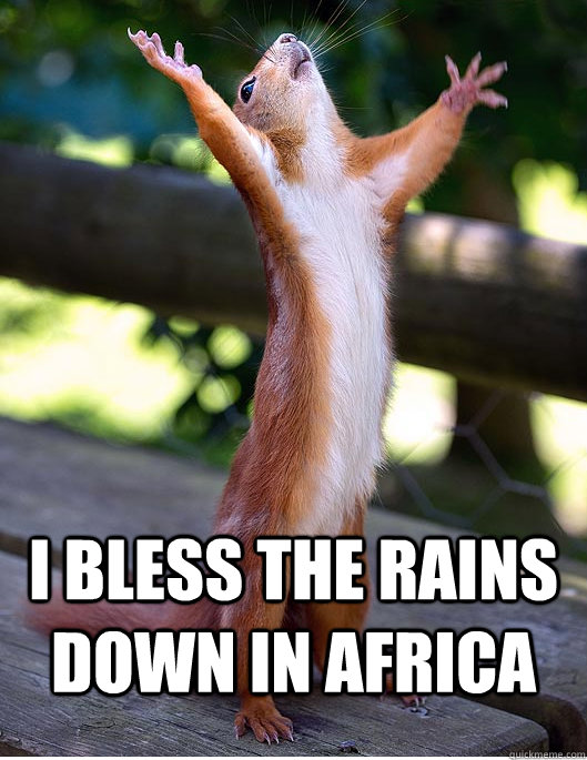 I bless the rains down in Africa  Hallelujah Squirrel