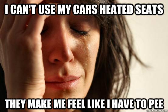 I can't use my cars heated seats They make me feel like I have to pee  First World Problems