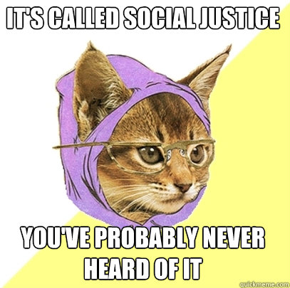 it's called social justice you've probably never heard of it  Hipster Kitty