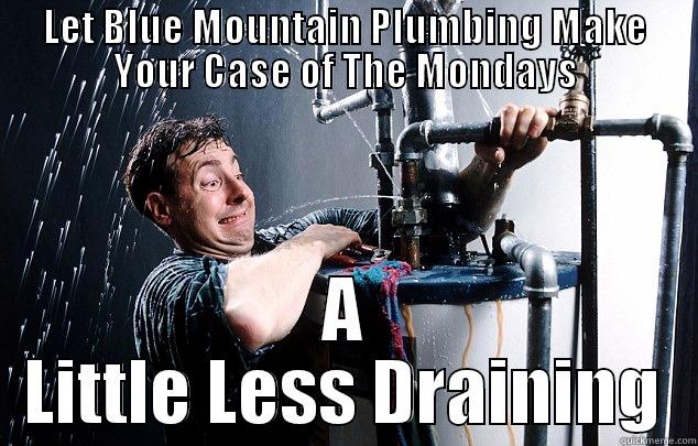 LET BLUE MOUNTAIN PLUMBING MAKE YOUR CASE OF THE MONDAYS A LITTLE LESS DRAINING Misc