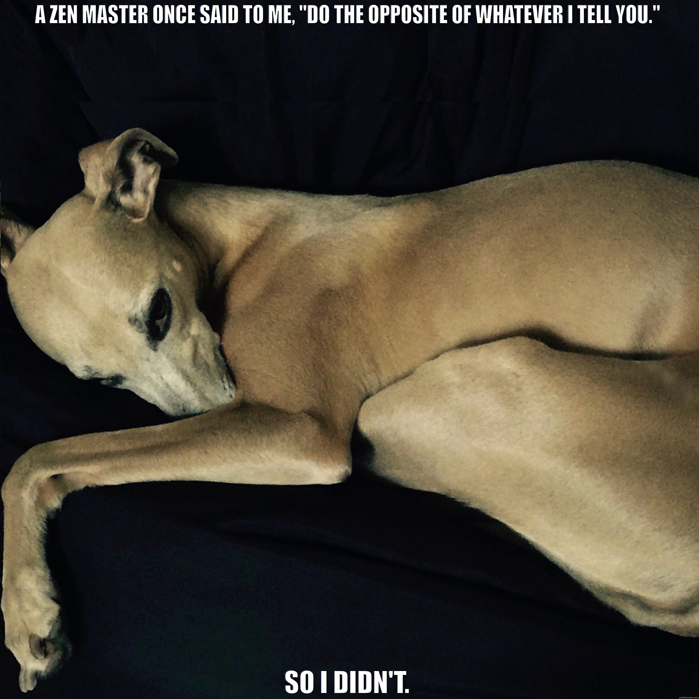 A ZEN MASTER ONCE SAID TO ME, 