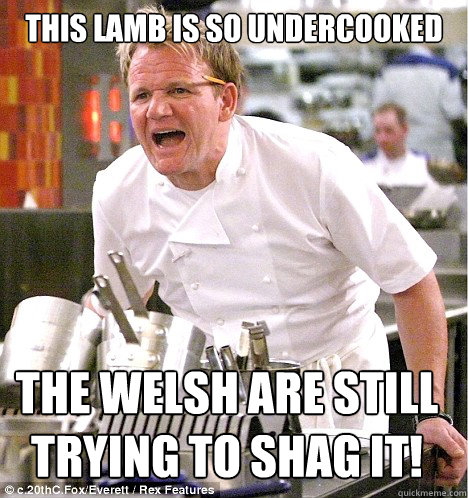 This Lamb is so undercooked The Welsh are still trying to shag it!  gordon ramsay