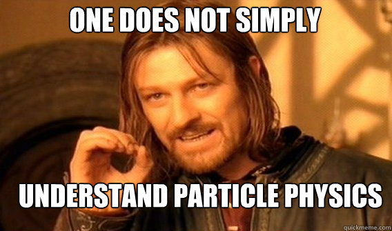 One does not simply understand particle physics  Boromir