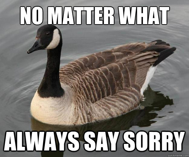 No matter what Always say sorry  Actual Advice Canadian Goose