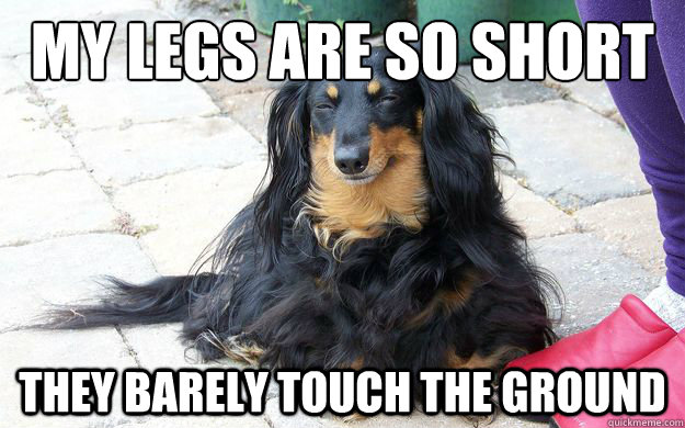 My legs are so short they barely touch the ground  
