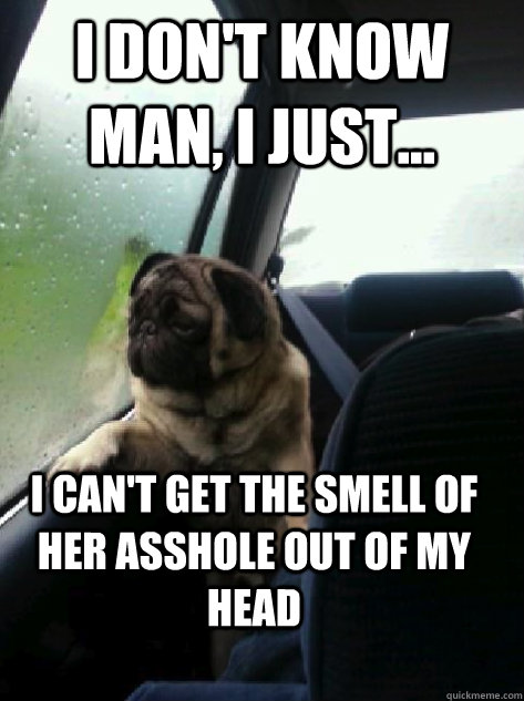 I don't know man, I just... i can't get the smell of her asshole out of my head  Introspective Pug