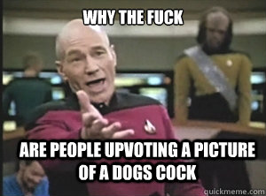 why the fuck are people upvoting a picture of a dogs cock  Annoyed Picard