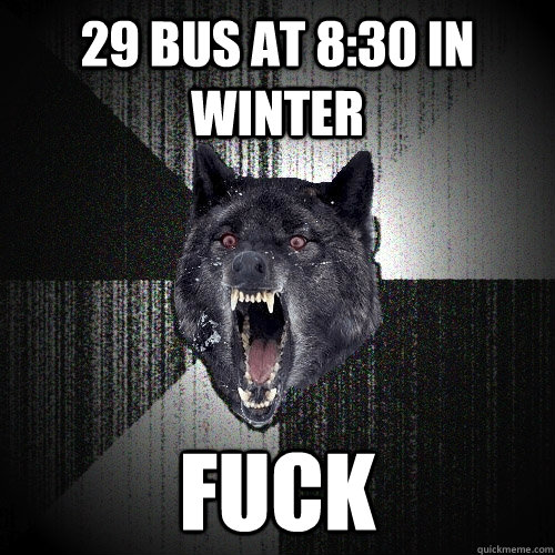 29 bus at 8:30 in winter FUCK  Insanity Wolf