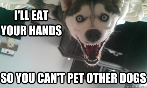 I'll eat your hands so you can't pet other dogs - I'll eat your hands so you can't pet other dogs  Obsessive Dogfriend