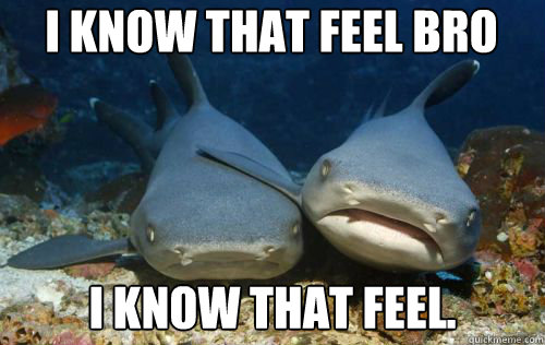 I know that feel bro I know that feel.  Compassionate Shark Friend