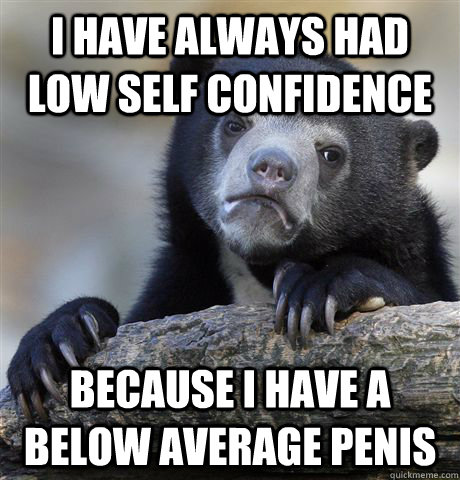 I have always had low self confidence Because I have a below average penis  Confession Bear