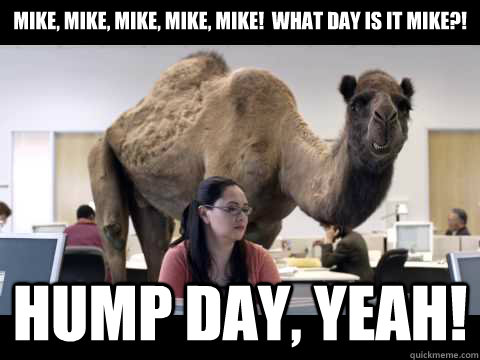 Mike, Mike, Mike, Mike, Mike!  What day is it Mike?! Hump day, yeah! - Mike, Mike, Mike, Mike, Mike!  What day is it Mike?! Hump day, yeah!  Hump Day Camel