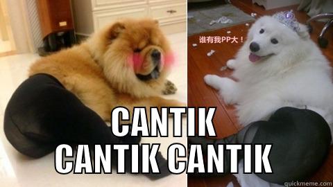  CANTIK CANTIK CANTIK Misc