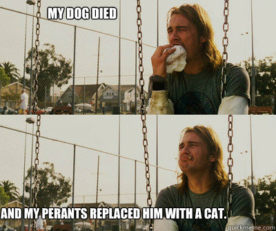 my dog died and my perants replaced him with a cat.  First World Stoner Problems