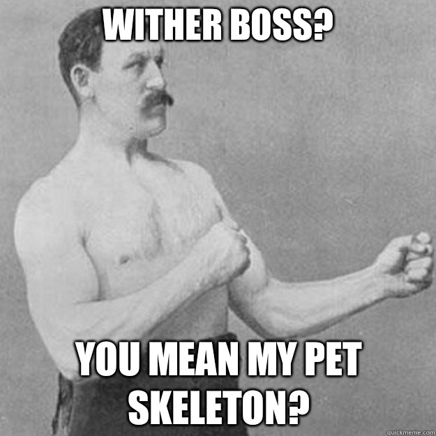 Wither boss? You mean my pet skeleton?  overly manly man