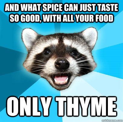 AND WHAT SPICE CAN JUST TASTE SO GOOD, WITH ALL YOUR FOOD ONLY THYME  Lame Pun Coon