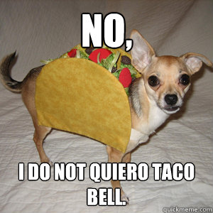 no, i do not quiero taco bell.  Taco Dog