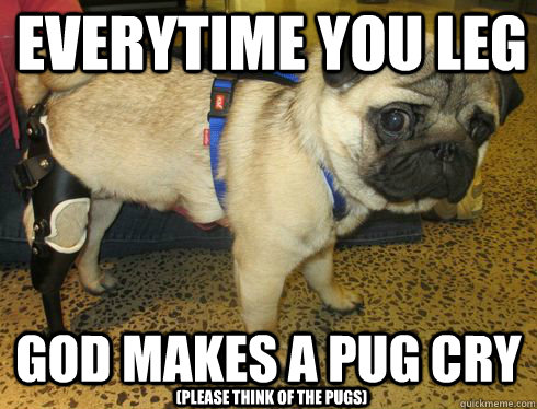 everytime you leg god makes a pug cry (please think of the pugs) - everytime you leg god makes a pug cry (please think of the pugs)  3 legged pug