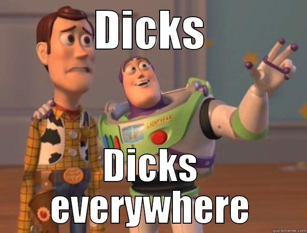 DICKS DICKS EVERYWHERE Toy Story