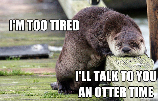 I'm too tired I'll talk to you an otter time  Tired Otter