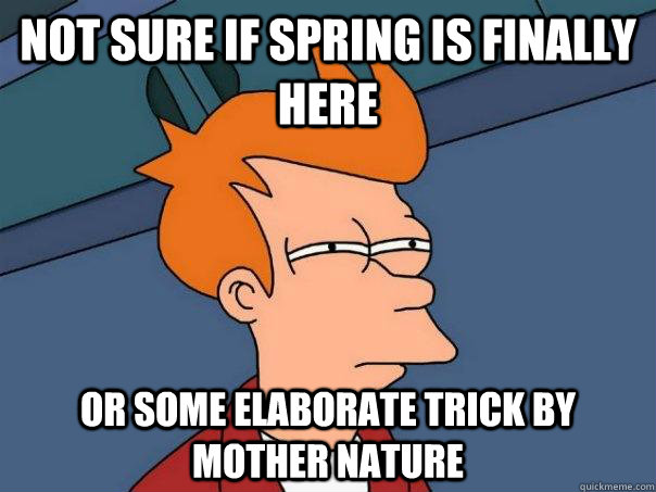 Not sure if spring is finally here Or some elaborate trick by mother nature  Futurama Fry