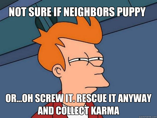 Not sure if neighbors puppy Or...oh screw it. rescue it anyway and collect karma  Futurama Fry