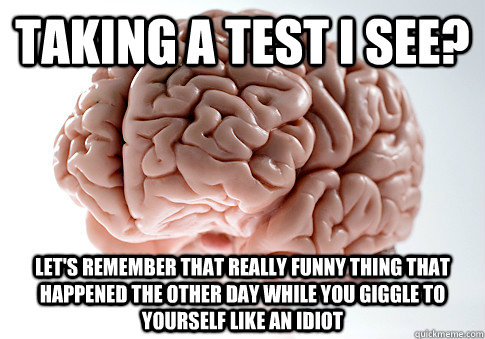 TaKiNg A tEsT I see? Let's remember that Really FuNnY thing that happened the other day while you giggle to yourself like an idiot  Scumbag Brain