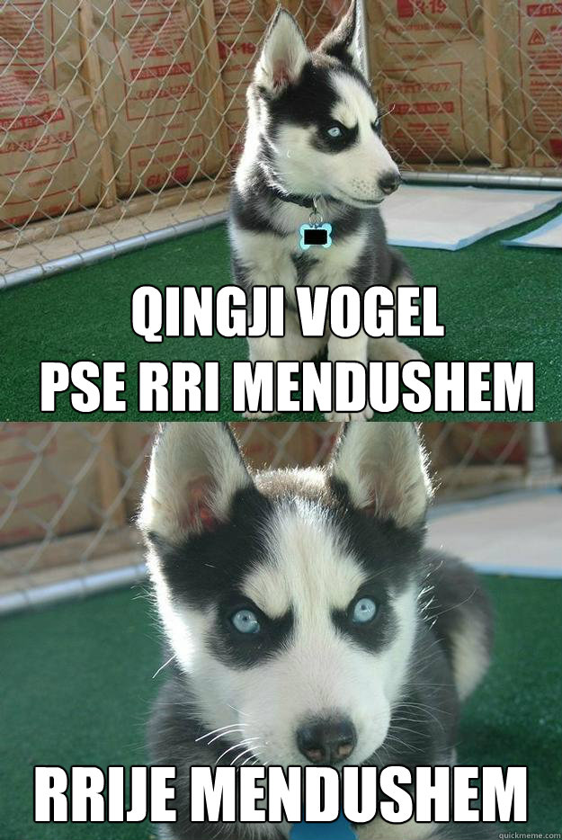 qingji vogel 
pse rri mendushem rrije mendushem  Insanity puppy
