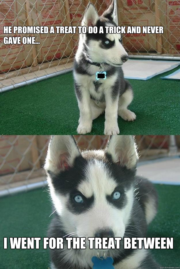 he promised a treat to do a trick and never gave one... 

I went for the treat between his legs.  Insanity puppy