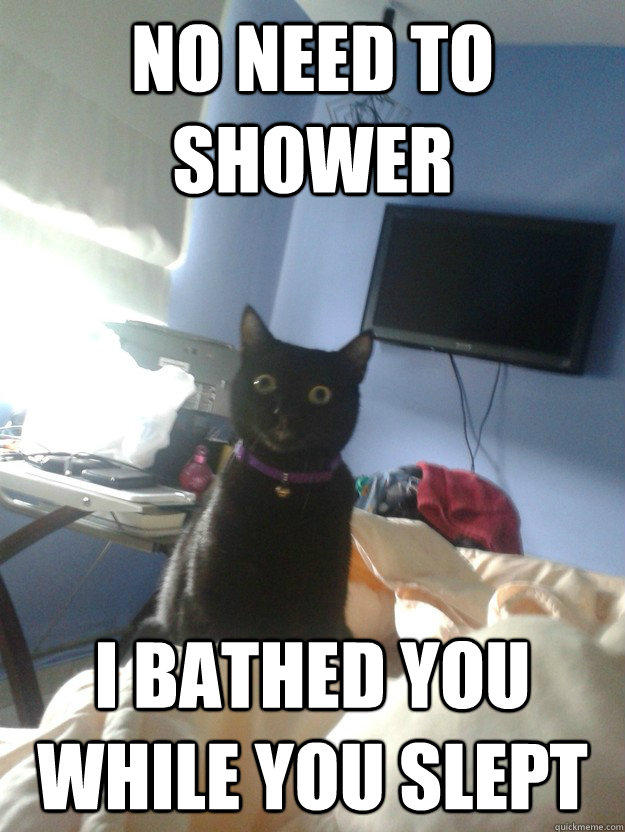 no need to shower i bathed you while you slept  