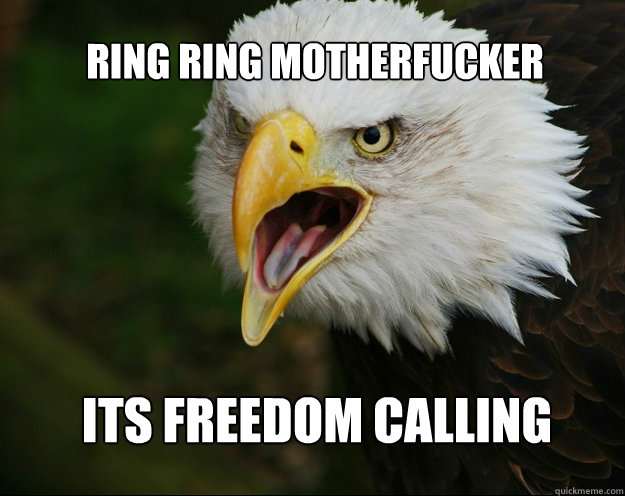 Ring RIng motherfucker Its freedom calling  