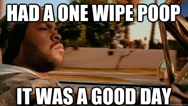 HAD A ONE WIPE POOP IT WAS A GOOD DAY  It was a good day