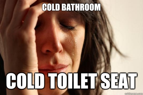 Cold bathroom Cold toilet seat - Cold bathroom Cold toilet seat  First World Problems