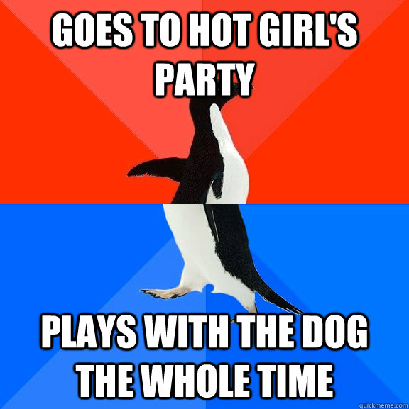 Goes to hot girl's party Plays with the dog the whole time  Socially Awesome Awkward Penguin