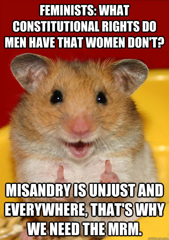 Feminists: what constitutional rights do men have that women don't? Misandry is unjust and everywhere, that's why we need the MRM.  - Feminists: what constitutional rights do men have that women don't? Misandry is unjust and everywhere, that's why we need the MRM.   Rationalization Hamster